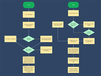 Flow Diagrams